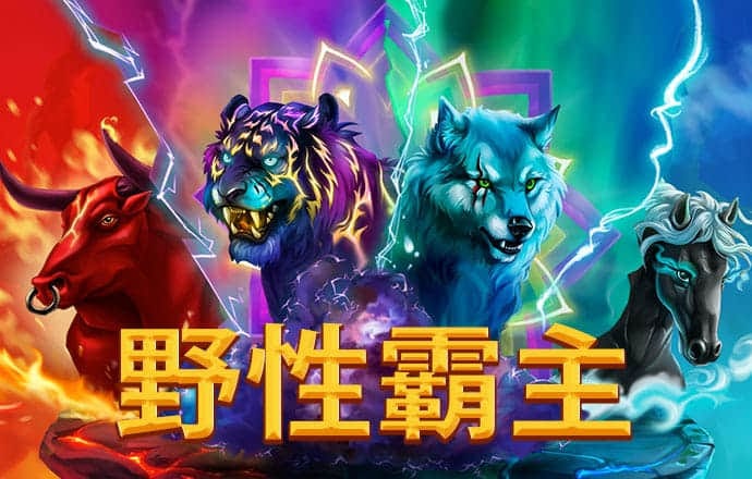 ayx登录入口